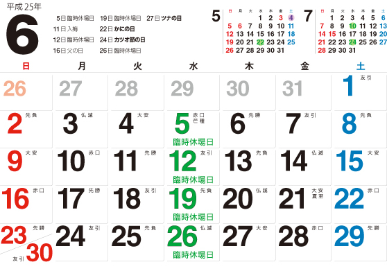 平成25年6月