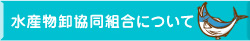 水産物卸協同組合について